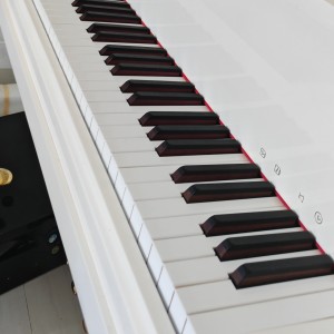 fjcjxjdjd的个人空间