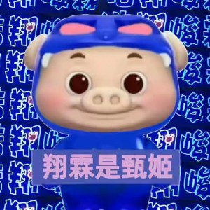 芬的钢琴谱