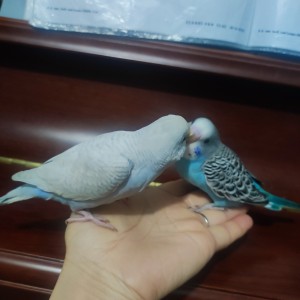 大香蕉🍌的个人空间