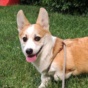 睿睿昌的个人空间