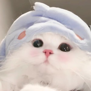 涵含的钢琴谱