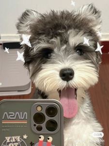 钢琴小天才🧚‍♀️的钢琴谱