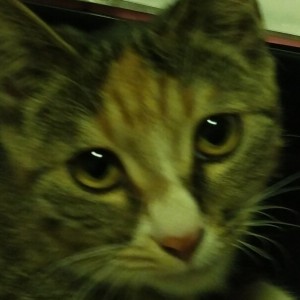 人散了,酒席都撤了吧的个人空间