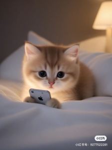 奥黛丽🐱princess的钢琴谱