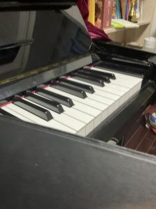 139****1694的钢琴谱