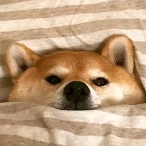 人间摸鱼客的钢琴谱
