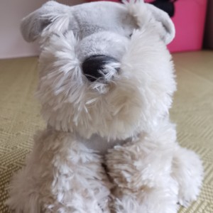 徐晗崴的钢琴谱