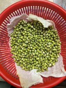 nezha 爱玩MC的个人空间