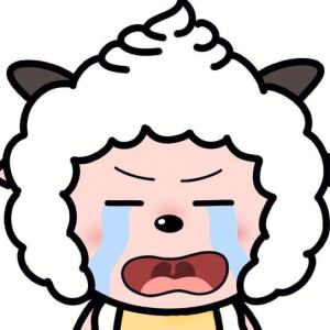 hhc的钢琴谱