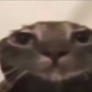 鑫豪不睡觉的个人空间