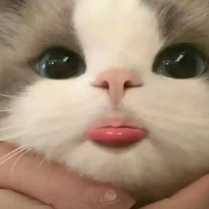 三花的钢琴谱