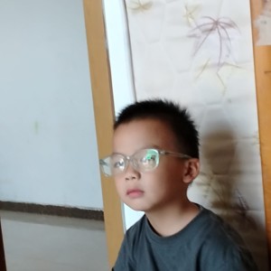 推理的演奏视频