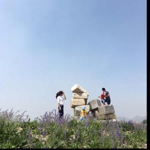 182****7580的個人空間