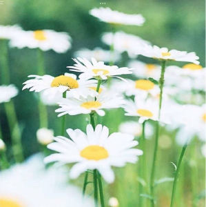 小可爱的个人空间