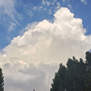 冄冉苒的钢琴谱