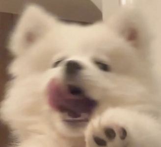 洛雨aaa ☔️🌧️的个人空间