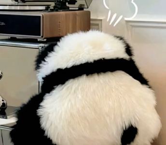 大诺的个人空间