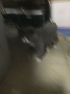 靖妤靖妍的钢琴谱