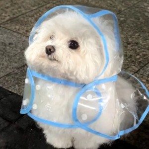 melodiya的個人空間