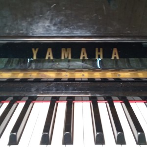 平安福气的个人空间