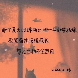 睿v一v睿的钢琴谱