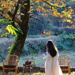 166****3357的钢琴谱