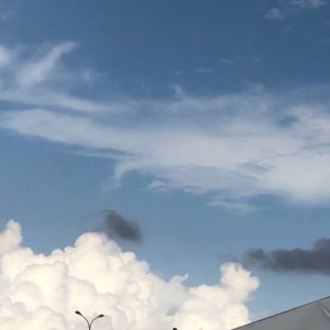才不是吃货[书]的钢琴谱