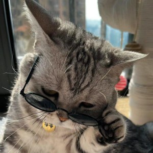 嘎嘎嘎的钢琴谱