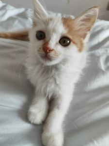 136****5457的个人空间