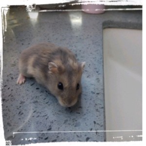 懂音乐的小蛇一只(最近不在线)的个人空间