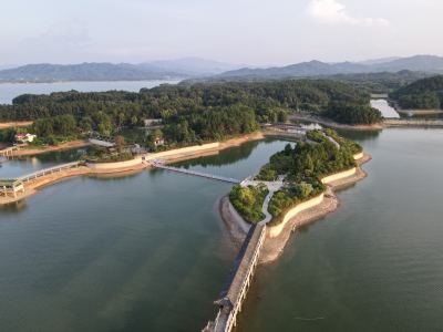 昔涟的演奏视频