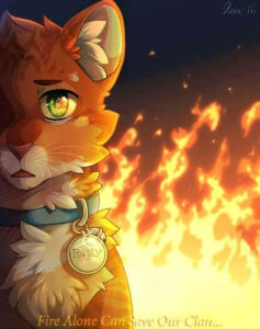 【猫武】进宝(雷族火心)的个人空间