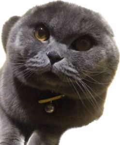 139****9600的钢琴谱