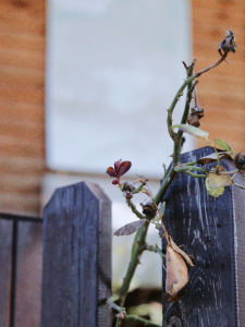 小霸王的个人空间