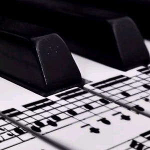 毛小毛的钢琴谱