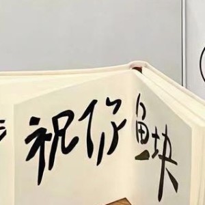 大鱼的演奏视频