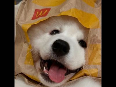 蛋仔名鼻毛第十五年的个人空间