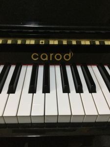 的演奏视频