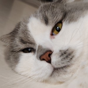 小广。ò ∀ ó。【备战中考中】的个人空间