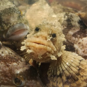 187****5887的个人空间