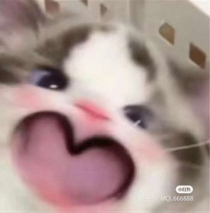 灵巧的灵儿的钢琴谱