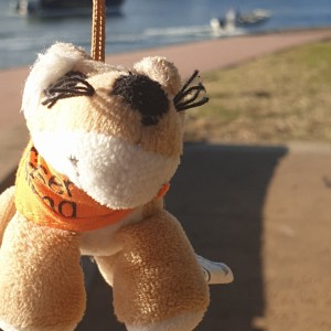 614****7968的钢琴谱