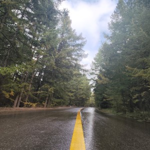 G大调小步舞曲的演奏视频