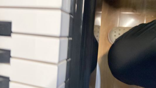 辰芃奶奶的钢琴谱