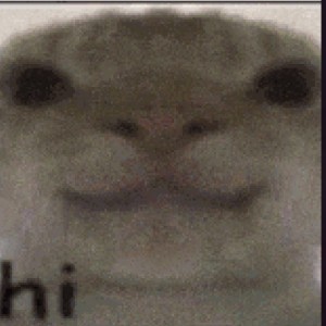 鼠鼠生风的个人空间