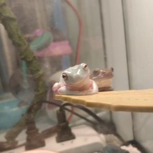 momonunu的个人空间