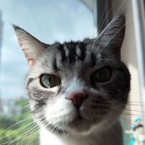 芒栗的个人空间