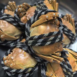 159****3703的钢琴谱