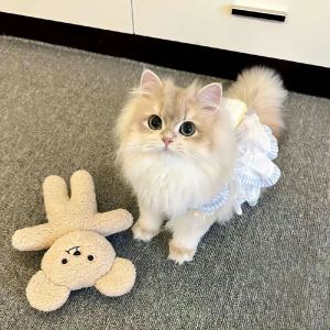 Cri_J的钢琴谱