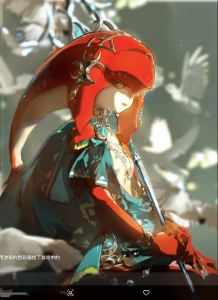 花果山的林克的個(gè)人空間